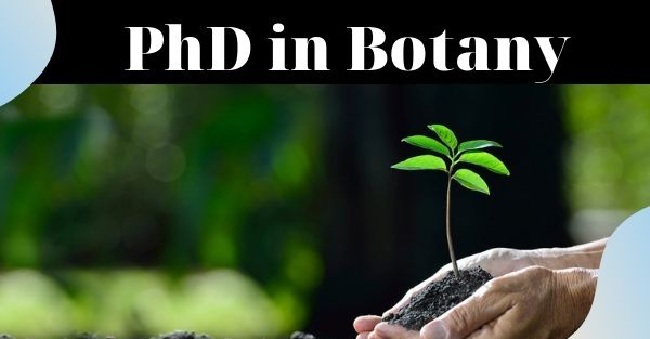 phd botany in india